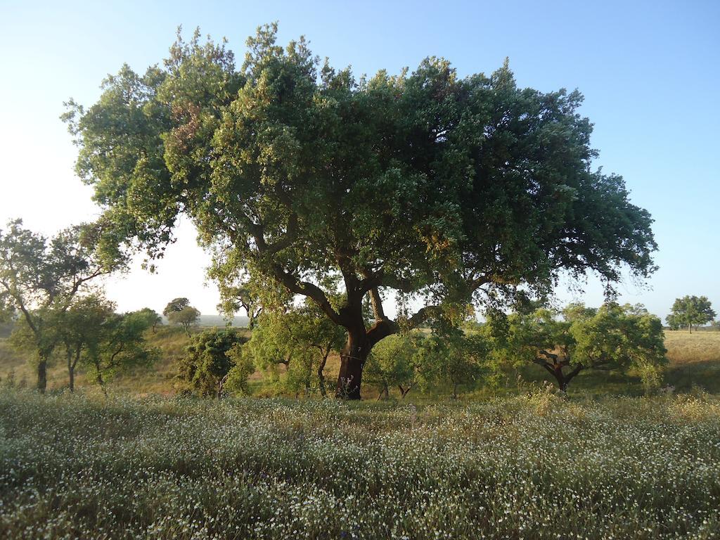 Herdade Dos Montes Bastos Santa Luzia  Bagian luar foto