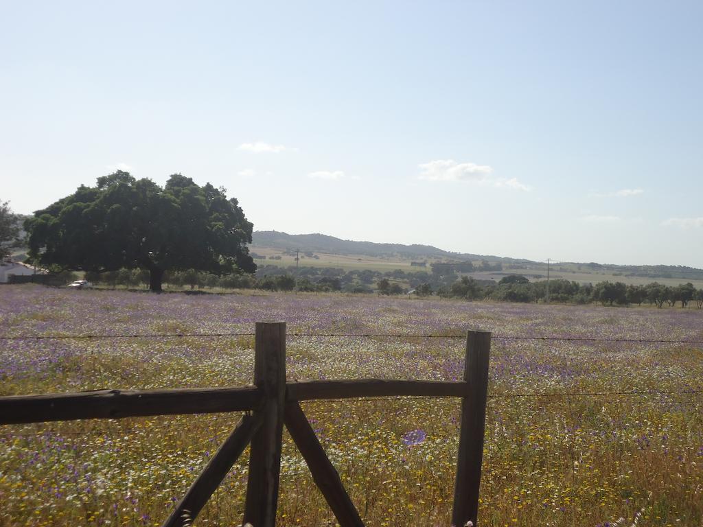 Herdade Dos Montes Bastos Santa Luzia  Bagian luar foto
