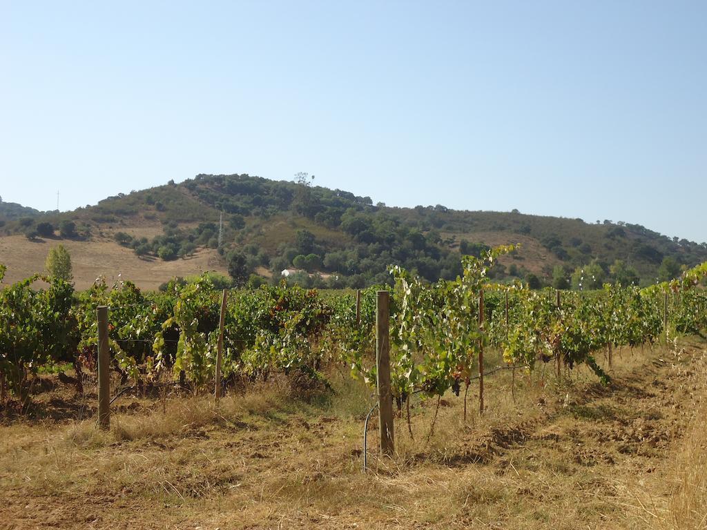 Herdade Dos Montes Bastos Santa Luzia  Bagian luar foto